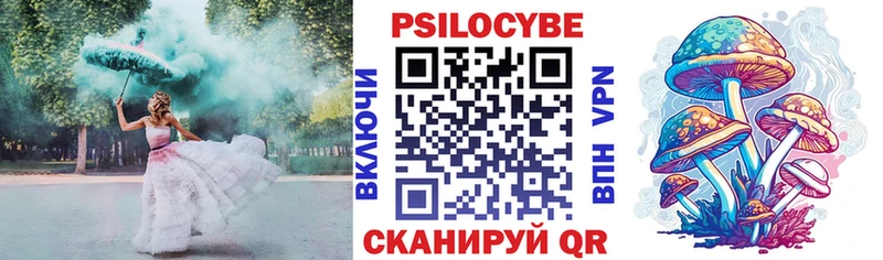 где найти наркотики  Черемхово  Псилоцибиновые грибы Psilocybine cubensis 
